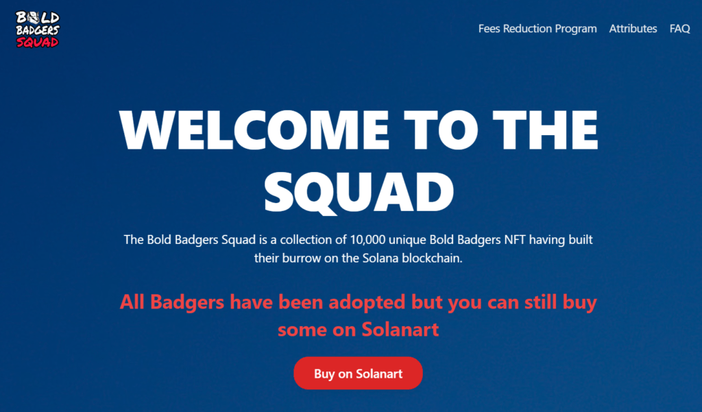 NFT Projects On Solana: Bold Badgers Squad