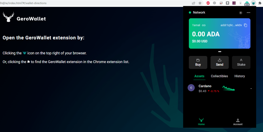 Gero Wallet app on Chrome extension
