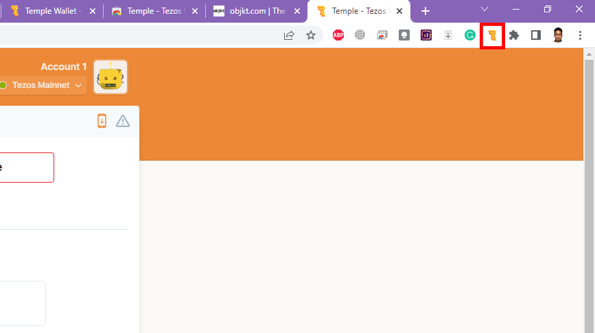 Temple wallet icon on chrome extension section