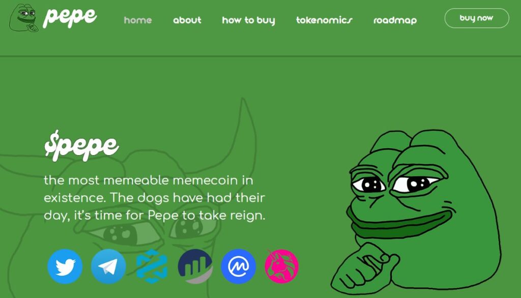 What Is $PEPE Coin? A Profile